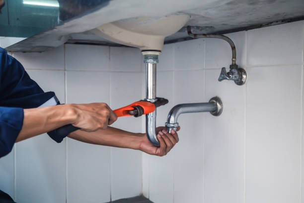 Best Local Plumber Services  in Highland Park, MI