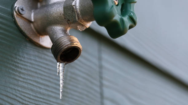 Best Plumbing Inspection Services  in Highland Park, MI